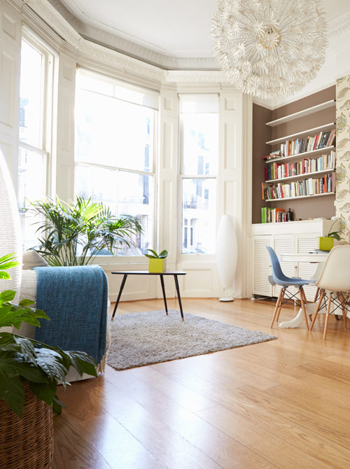 Bright modern living room with natural light, stylish furniture, and greenery.